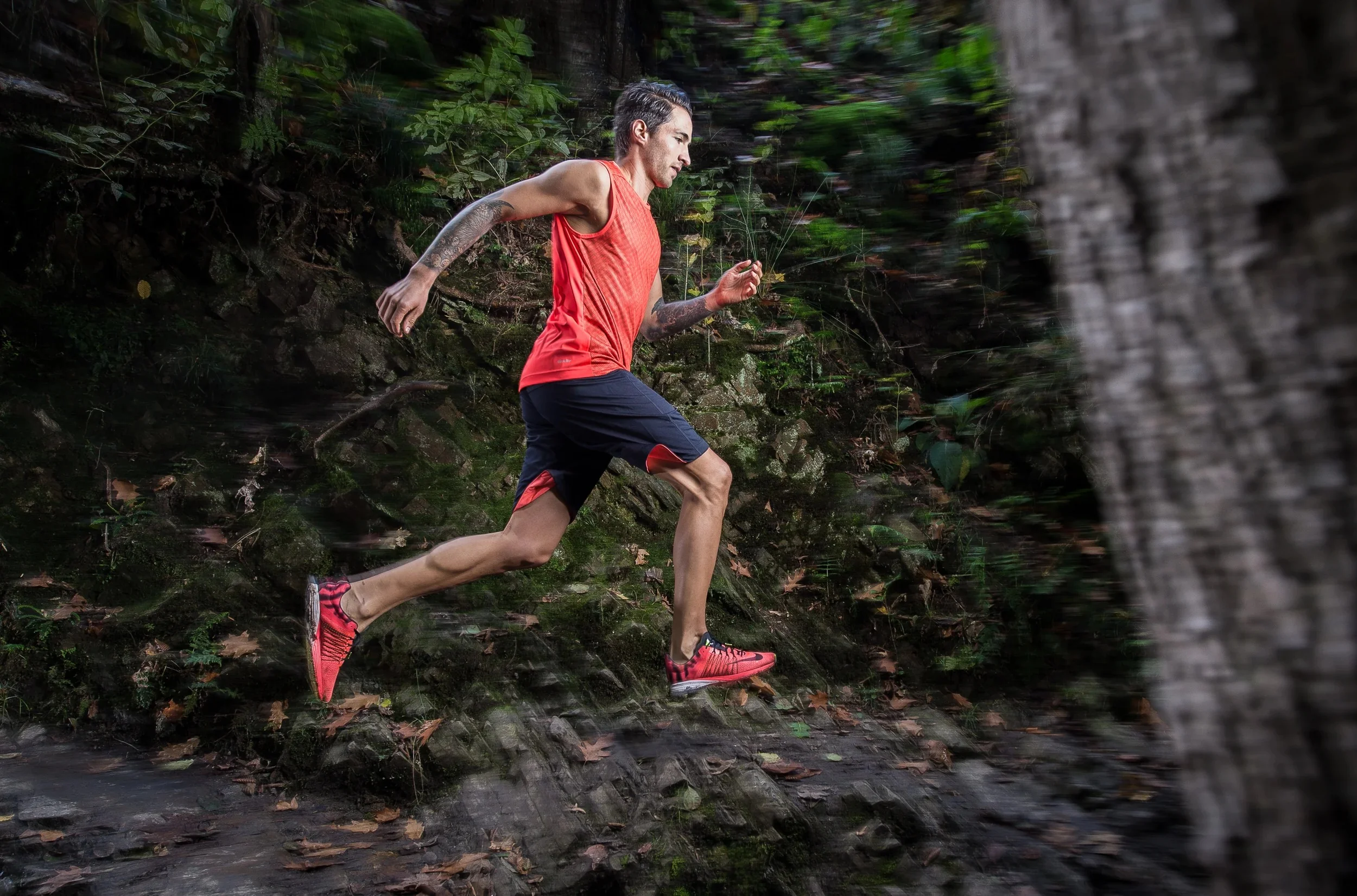 THE RUNNER